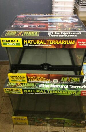 Terrarium