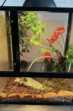Terrarium  45x30x50cm
