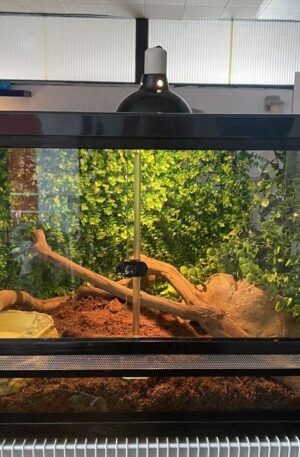 Front opening glass Enclosure